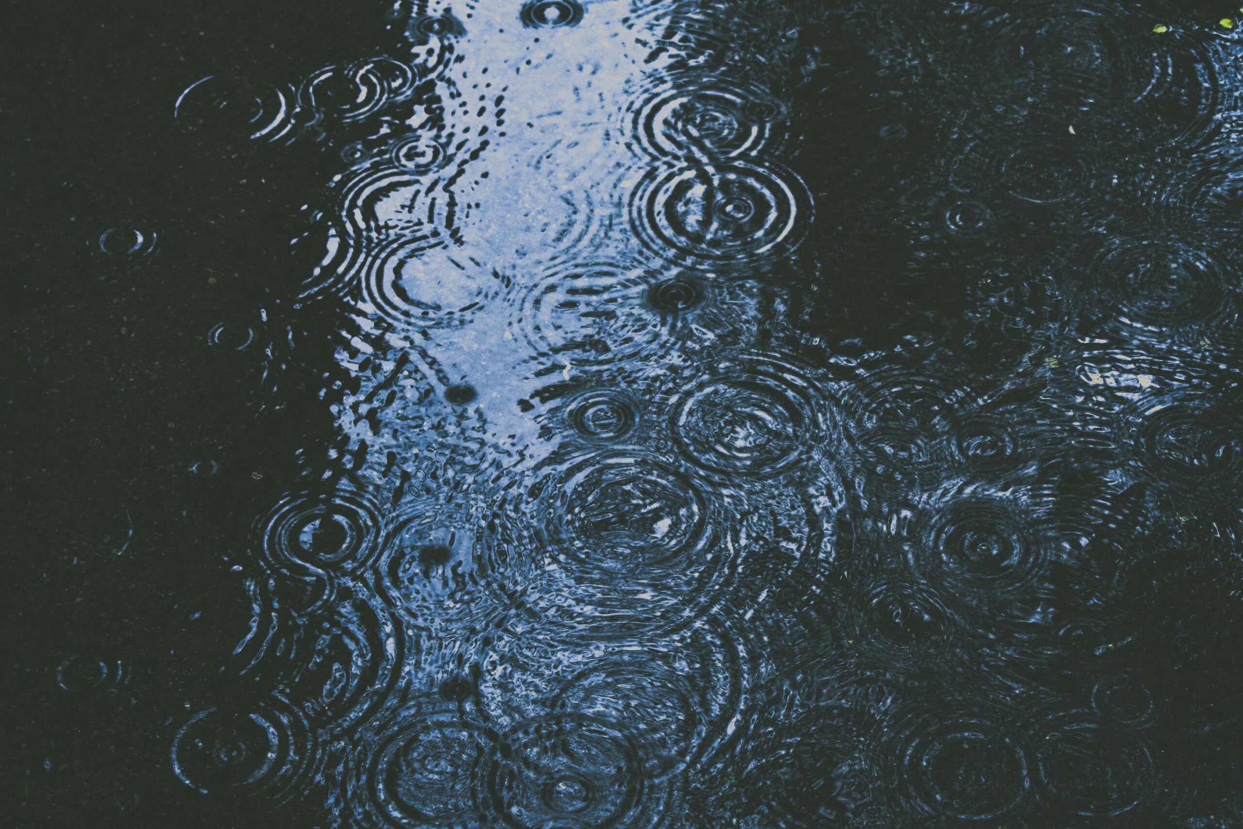 water with circles on it