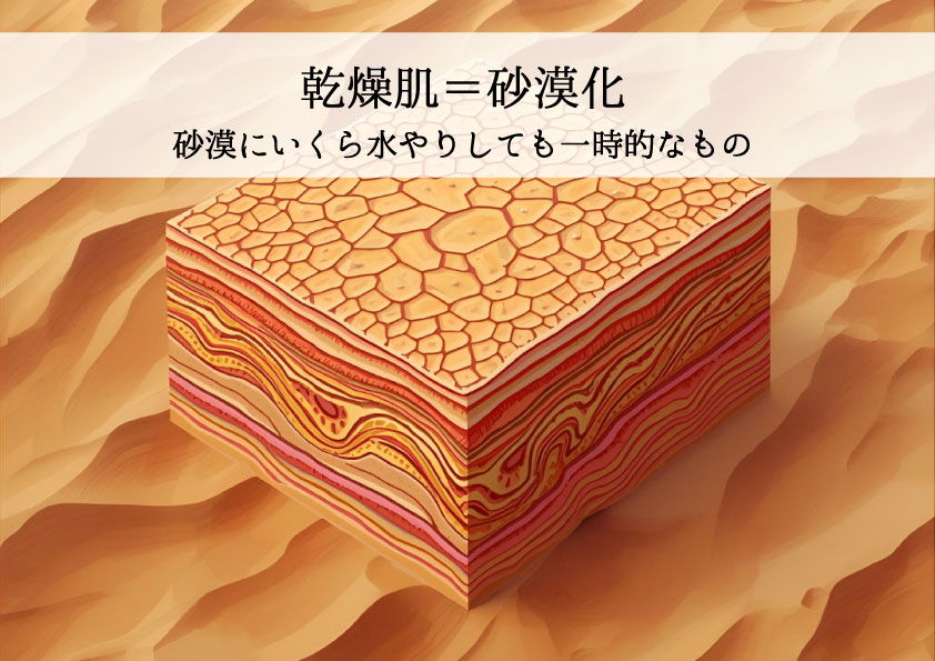 乾燥肌＝砂漠化