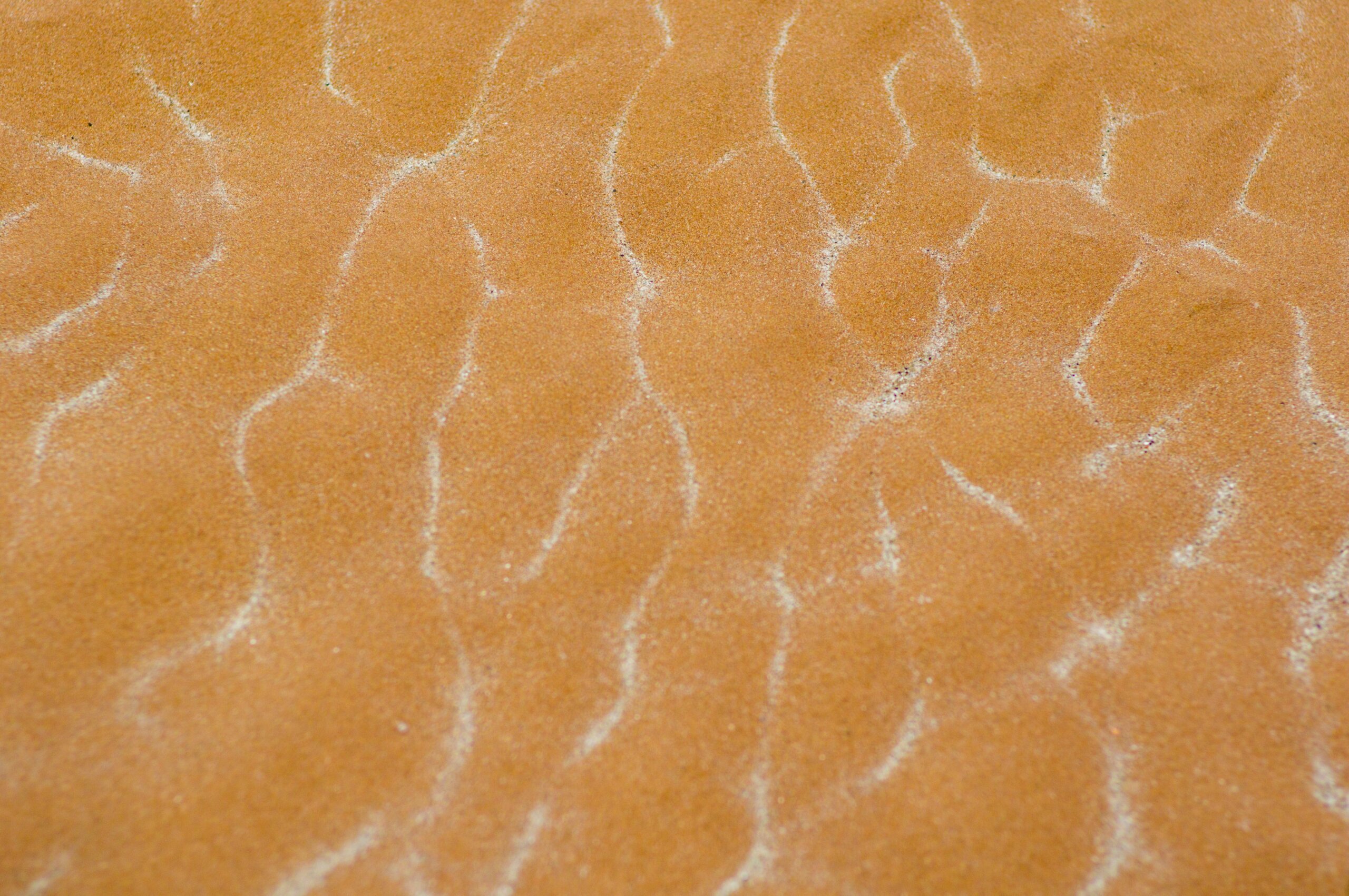 DRYSKIN